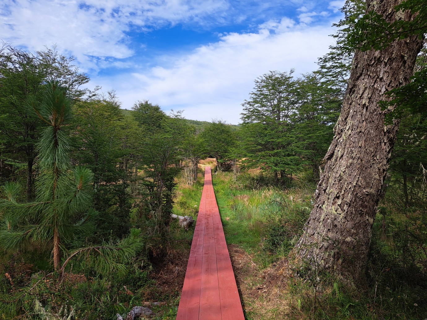 Trekking parque CMPC El Cóndor